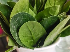 -仁义火锅城·熟食店(金杨路店)