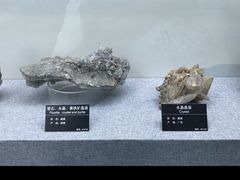 -甘肃地质博物馆