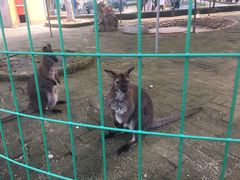 -武汉紫薇都市田园