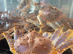 -蒋记海鲜姿造•洋房别墅(星河湾店)