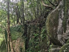 -大鄣山卧龙谷景区