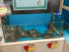 -元银甲·湖北地标美食(汉阳店)