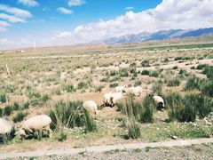 -青海湖国家重点风景名胜区