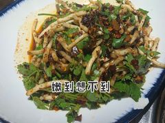凉拌折耳根-夜郎国·贵州菜(南山店)