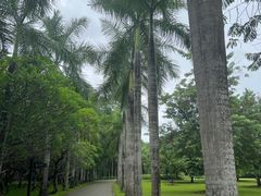 -中国科学院西双版纳热带植物园