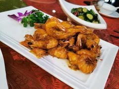 -云中小雅
