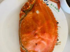 -春华海鲜城(广场西苑店)