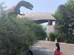 -自贡恐龙博物馆