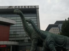 -河南自然博物馆