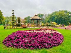 -上海共青森林公园