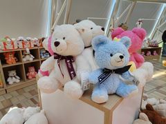 -济州岛泰迪熊博物馆