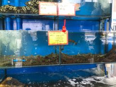 -蚝专家(北滘店)