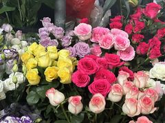 -桂林市花鸟市场