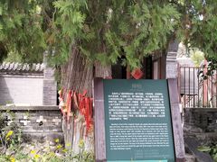 -北京凤凰岭