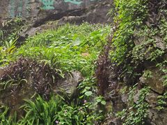 -叠彩山景区