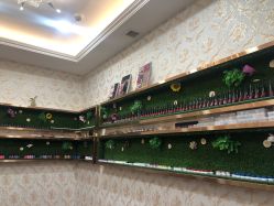 -圣婕美甲美睫皮肤管理
