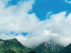 -王顺山国家森林公园
