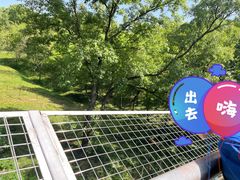 -合肥野生动物园