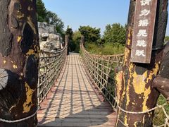 -北京西山国家森林公园