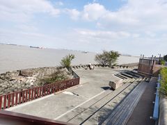 -上海滨江森林公园