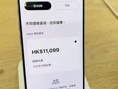 -Apple 零售店(Canton Road)