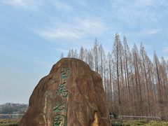 -紫金山山顶公园