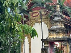 -西双版纳总佛寺