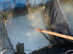 -海上驿站渔家菜馆