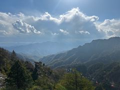 -朱雀国家森林公园