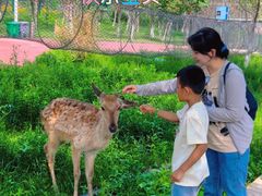 -水上乐园·欢乐世界