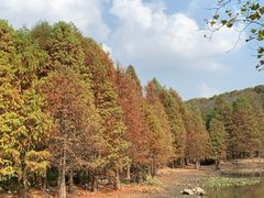 -南京十朝历史文化园-停车场