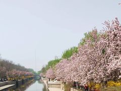 -海棠花溪(元大都城垣遗址公园)