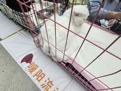 -万达广场(沈阳铁西店)
