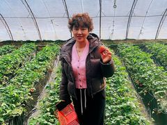 -大自然农场蔬菜草莓采摘园