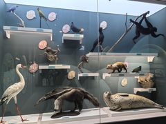 -国家自然博物馆