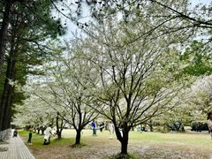 -同济大学(嘉定校区)