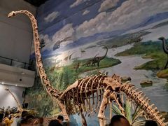 -自贡恐龙博物馆