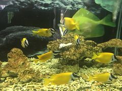 -泉州海丝野生动物世界