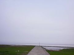 -南汇嘴观海公园