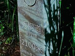 -梧桐山风景名胜区