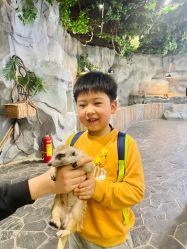 -Zoolung Zoolung动物主题公园(海信广场店)