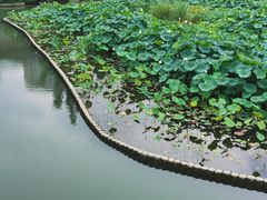 -龙潭水乡