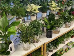 -怡花宜木鲜花店(朝阳路店)