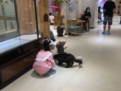 -藏猫猫咖啡主题馆(中央大道店)