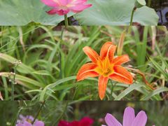 -天津东丽湖风景区