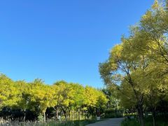 -东郊湿地公园