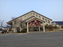 -盐城丹顶鹤湿地生态旅游区