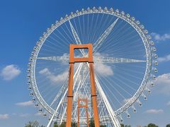 -祥源·阜阳生态乐园