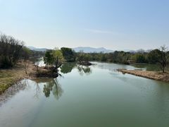 -西溪国家湿地公园