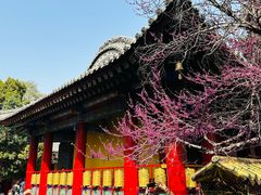 -西安市广仁寺